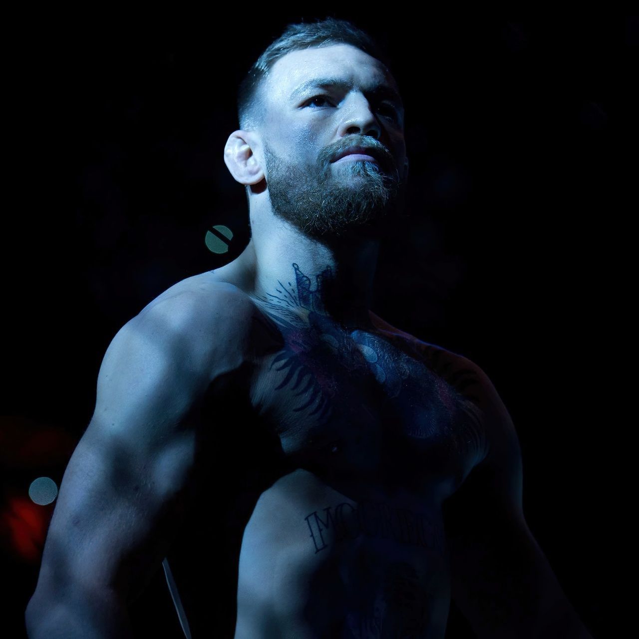 1280x1280 Conor McGregor Wallpaper 4K