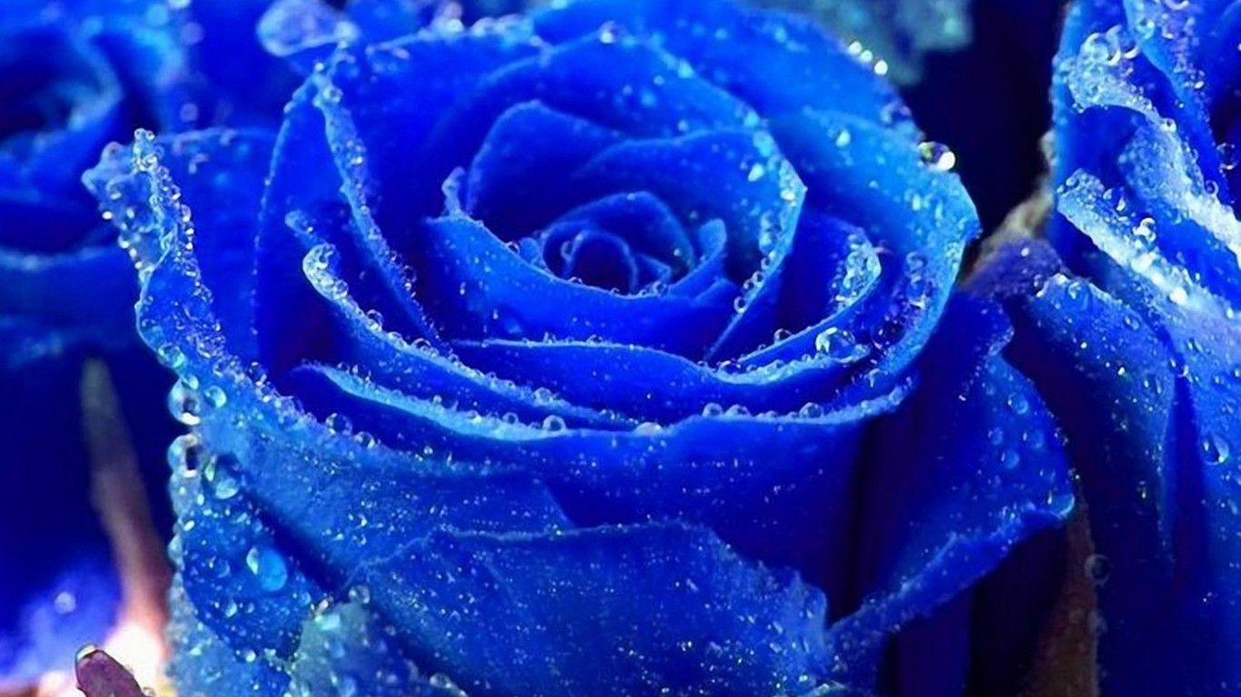1366x768 cool nature wallpaper Search Engine. nature