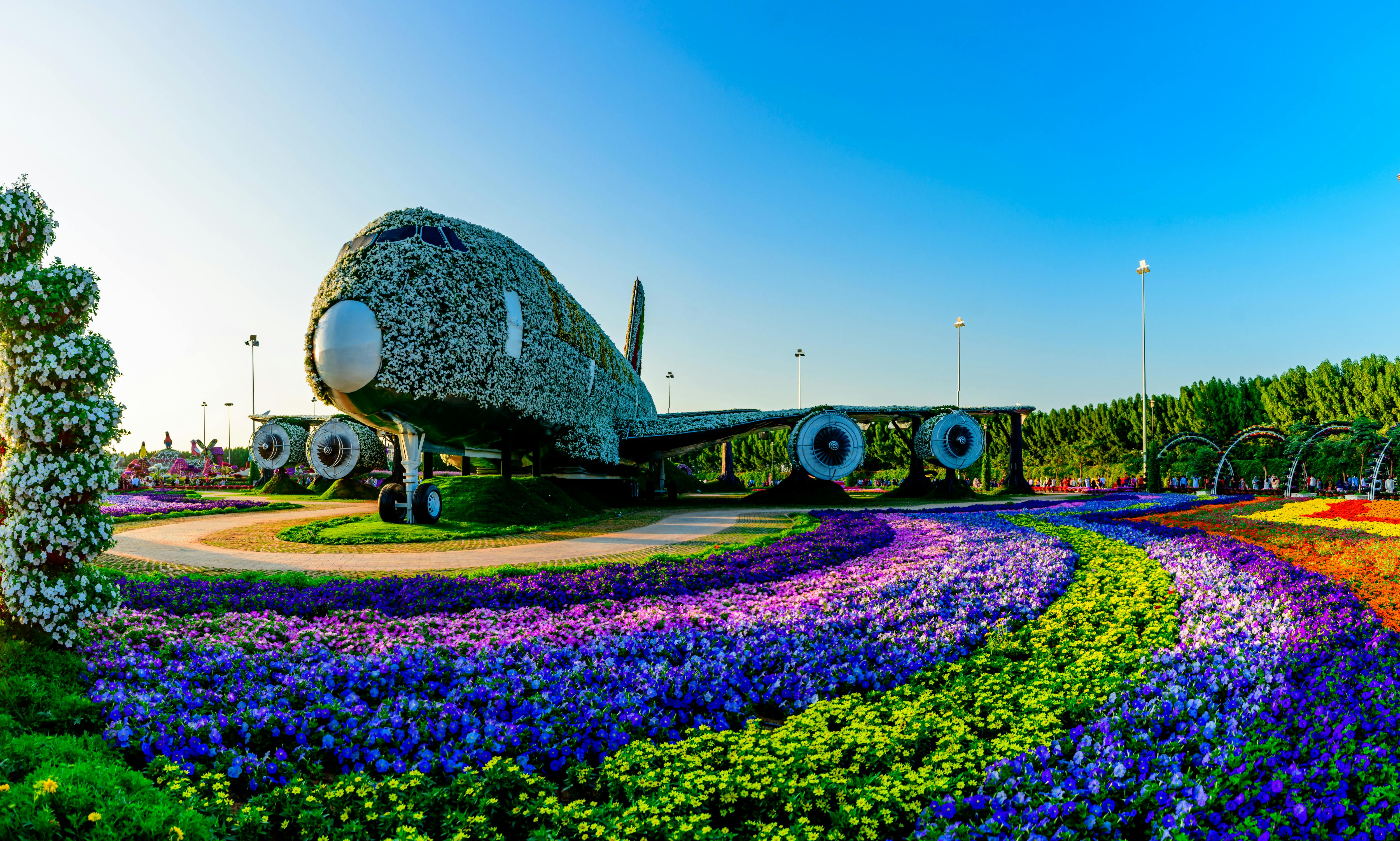 5000x3005 Dubai Miracle Garden Photo, Download