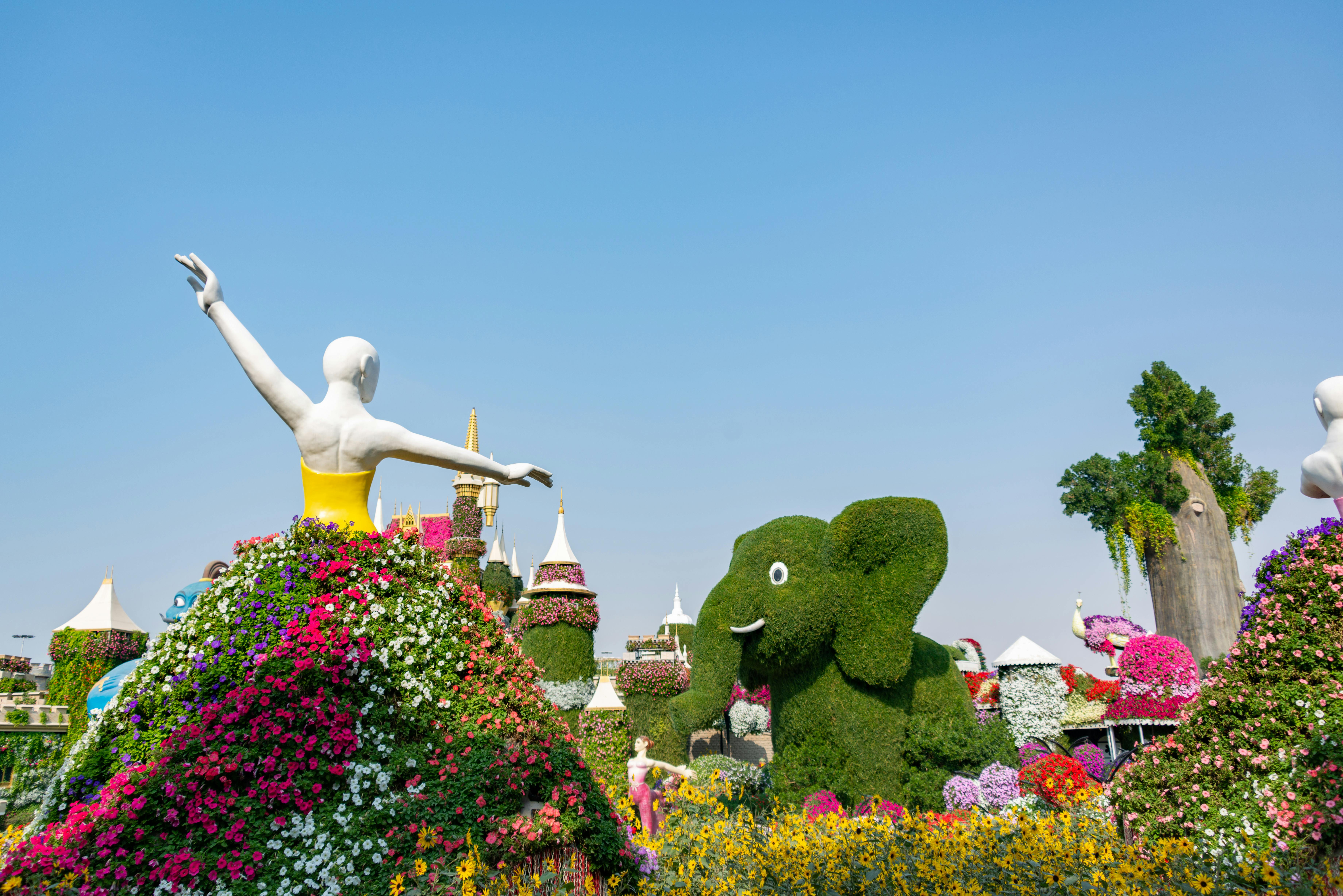 7360x4912 Dubai Miracle Garden in Summer · Free