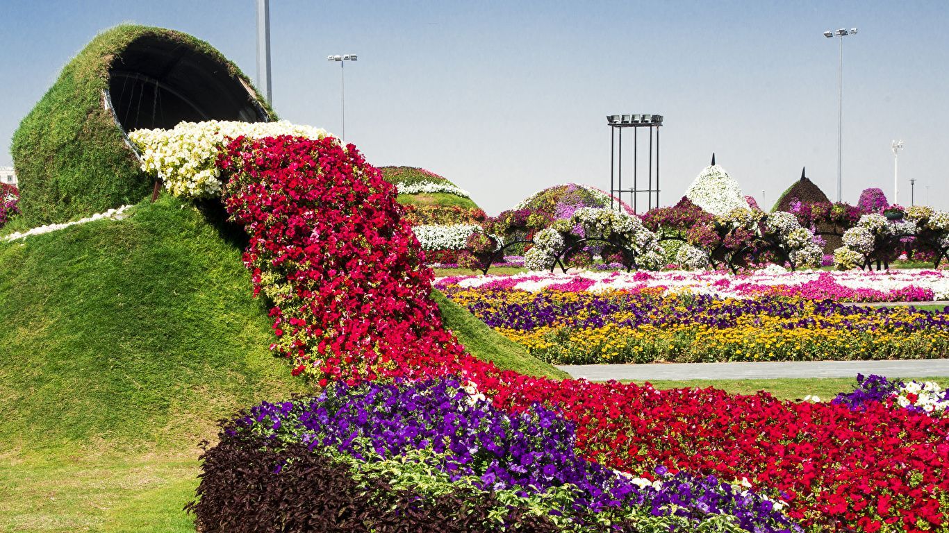 1366x768 Photos Dubai Miracle Garden Nature