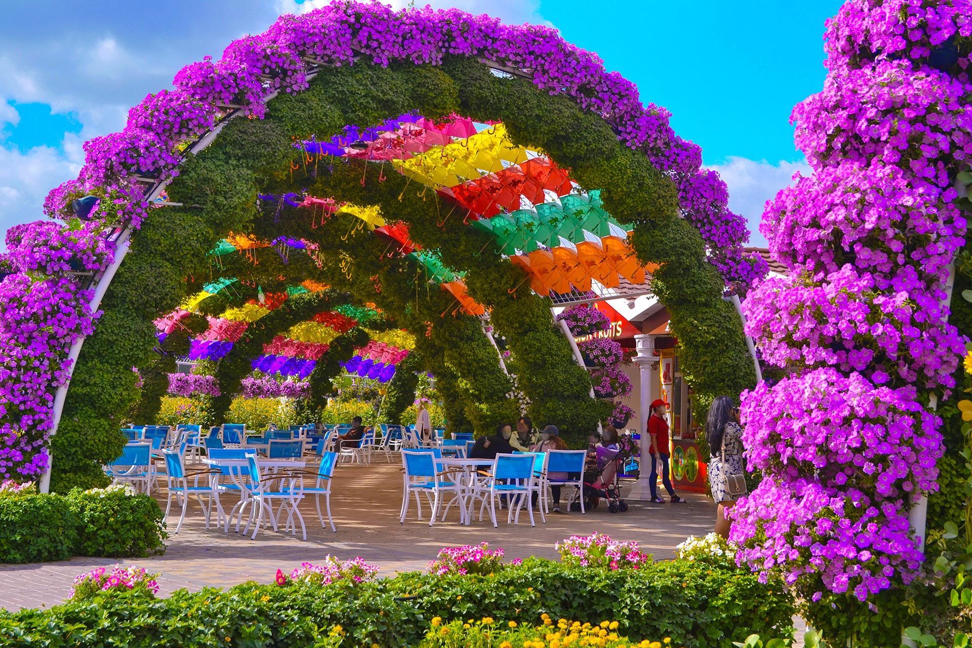 1920x1280 Sitting Area Miracle Garden