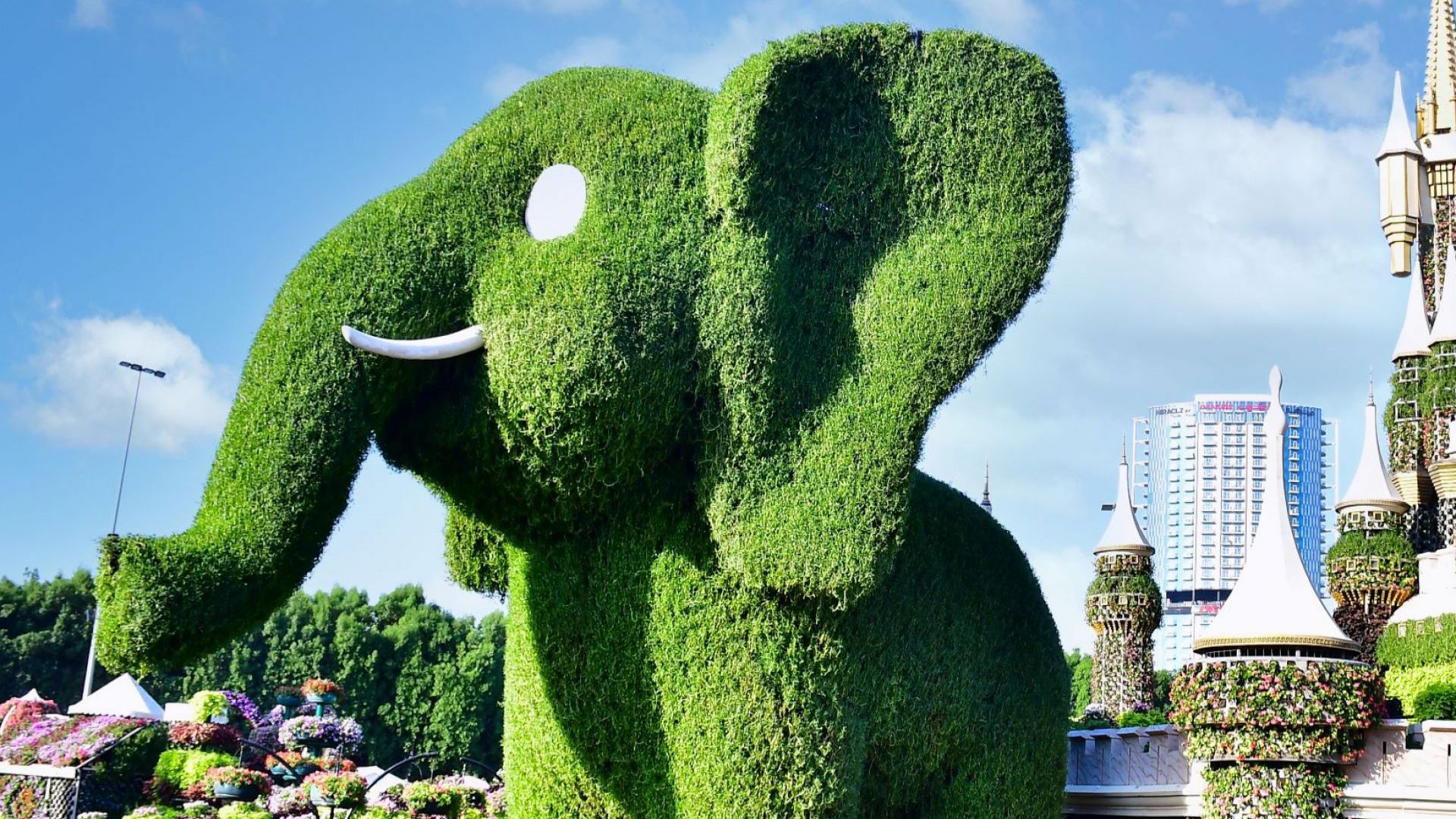 1920x1080 Dubai Miracle Garden