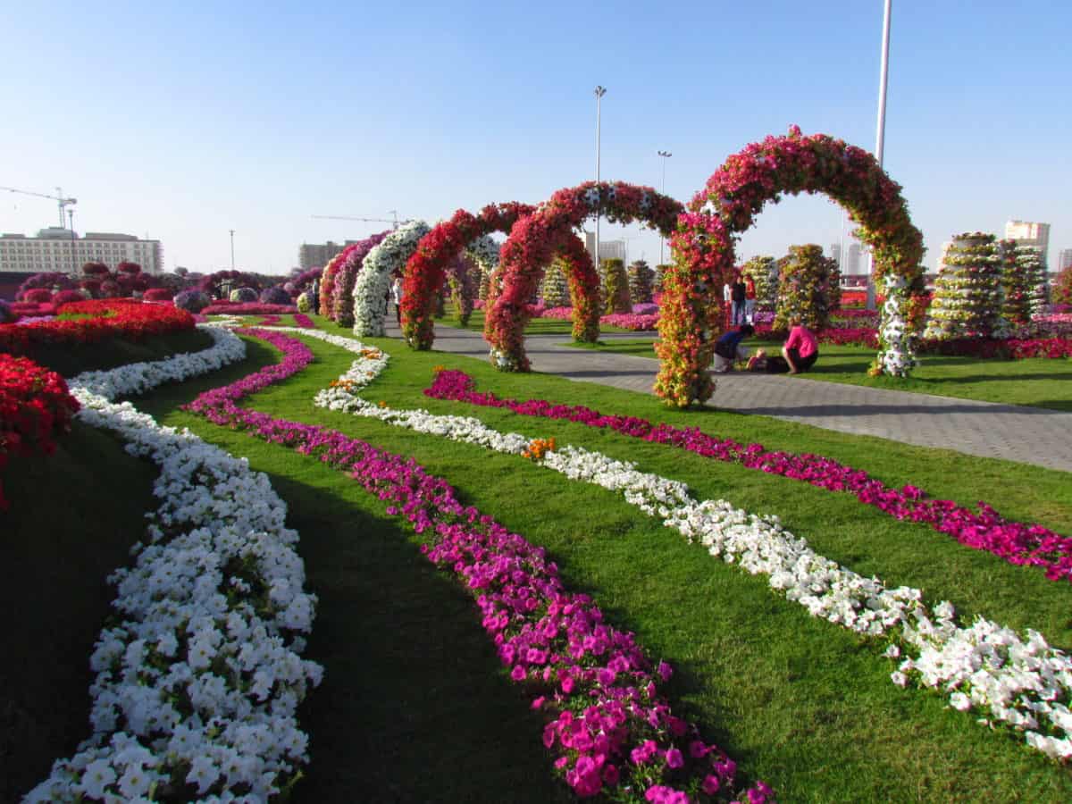 1200x900 Miracle Gardens Dubai