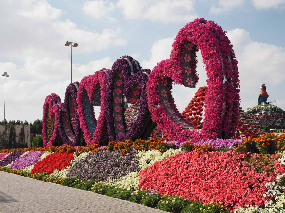 1200x900 Dubai Miracle Garden, an amazing garden