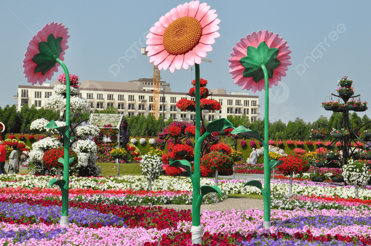 1200x797 Miracle Garden Background Image, HD