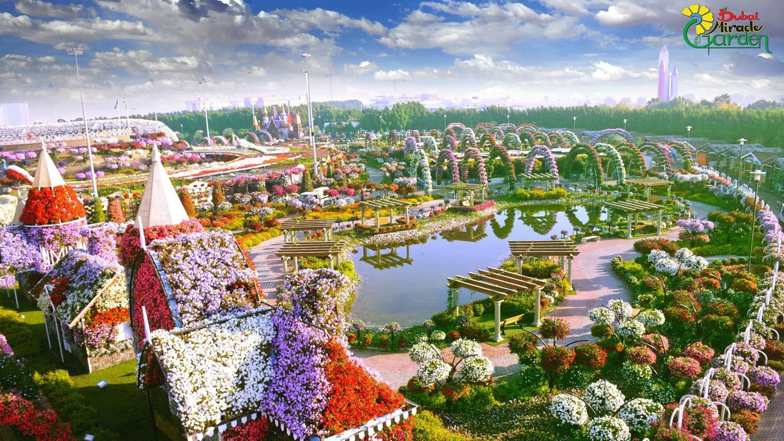 1600x900 Dubai Miracle Garden: The power
