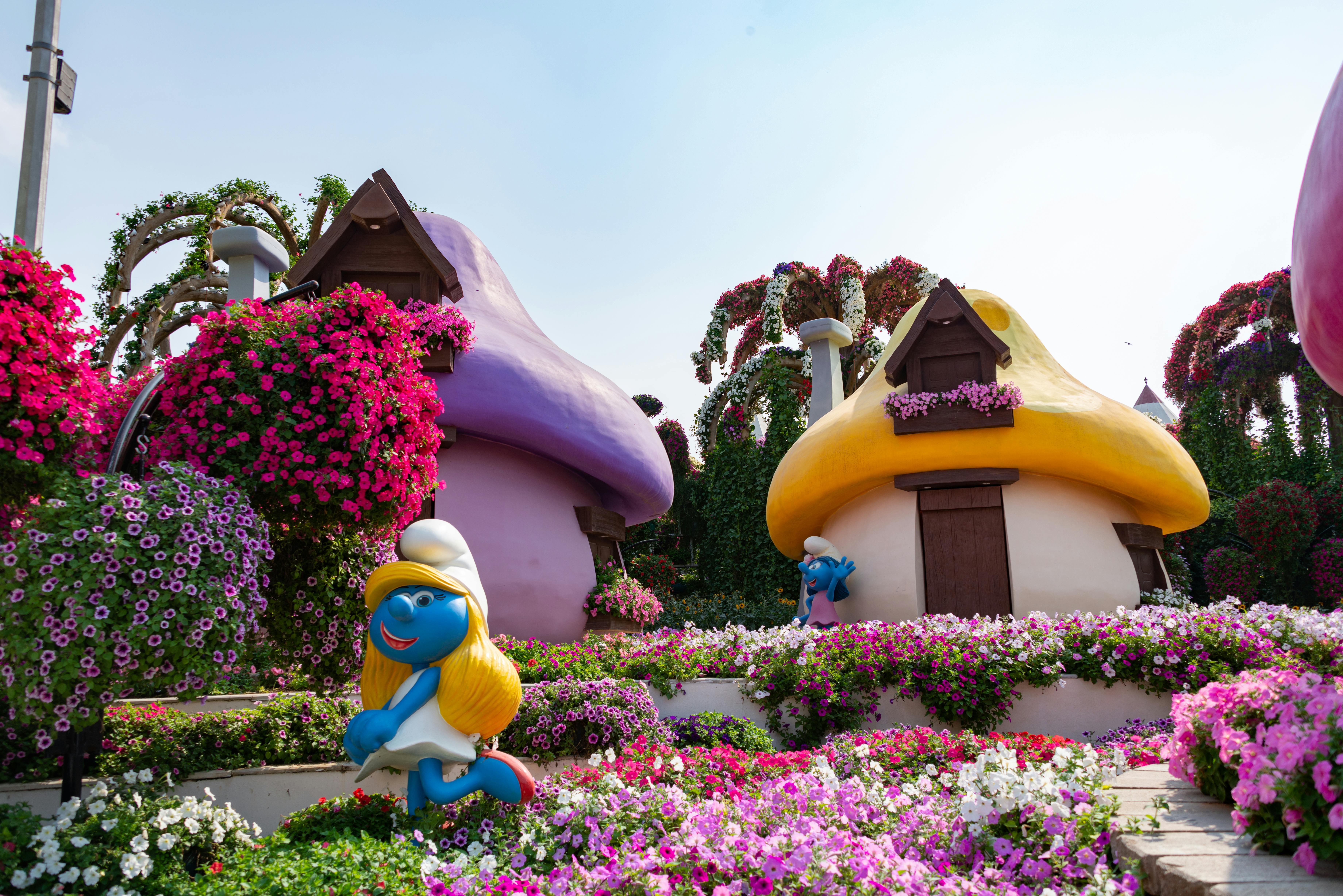 7360x4912 Dubai Miracle Garden Photo, Download