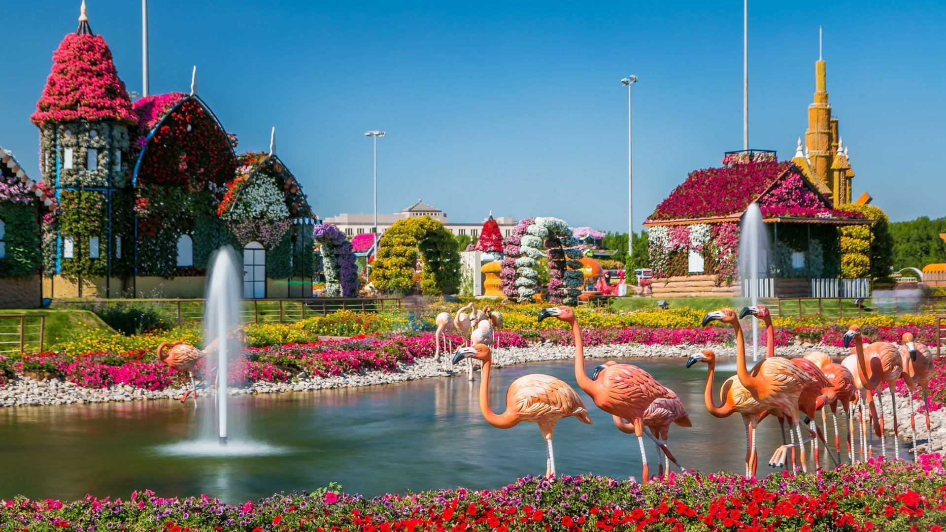 1920x1080 Dubai Miracle Garden
