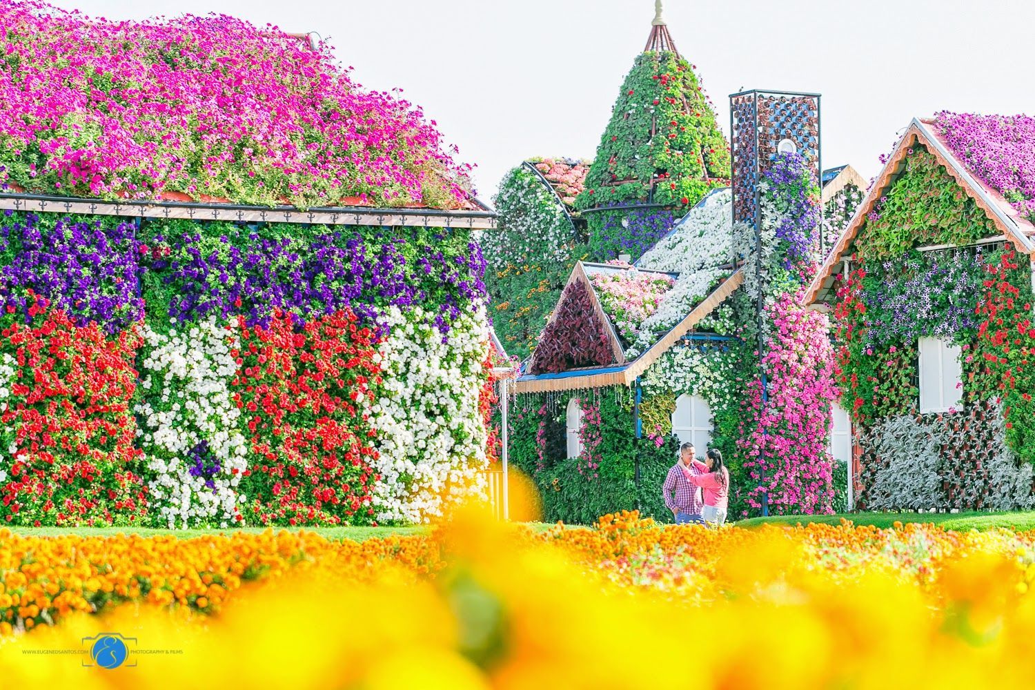 1500x1000 Dubai Miracle Garden Prenup