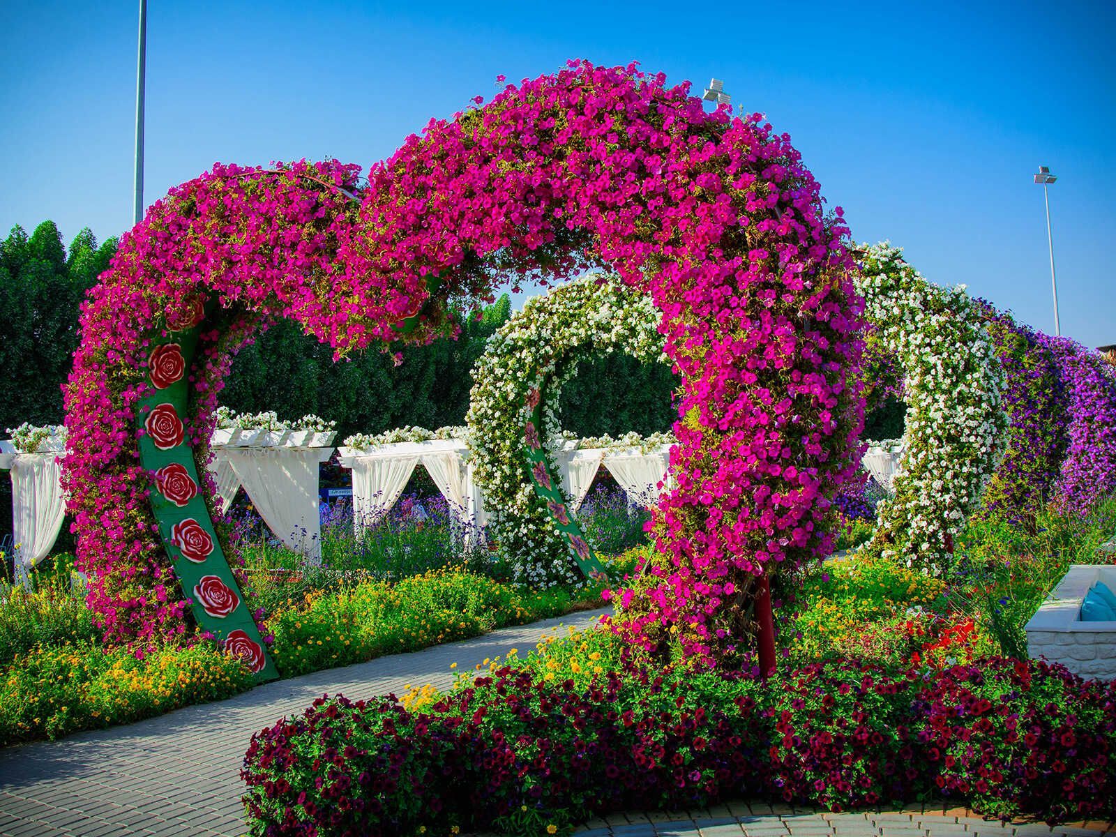 1600x1200 Dubai Miracle Garden