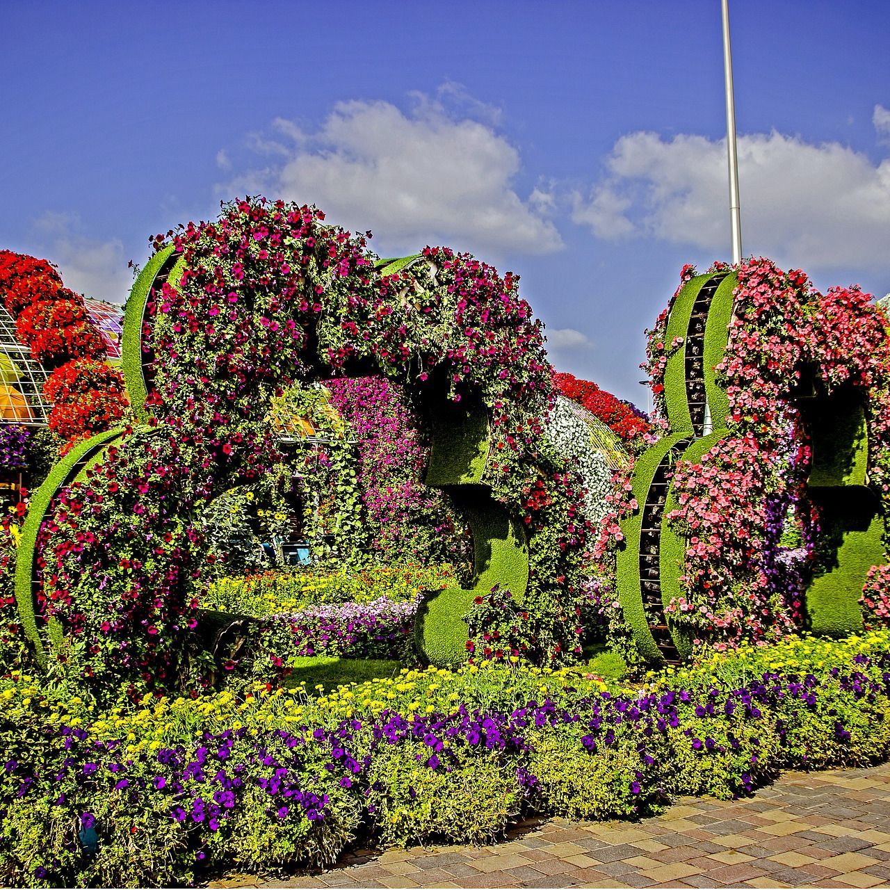 1280x1280 Dubai Miracle Garden natural