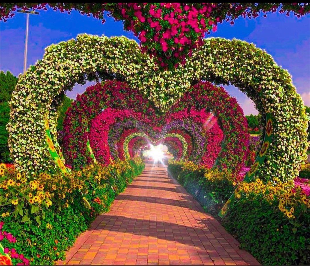 1065x914 Pin page