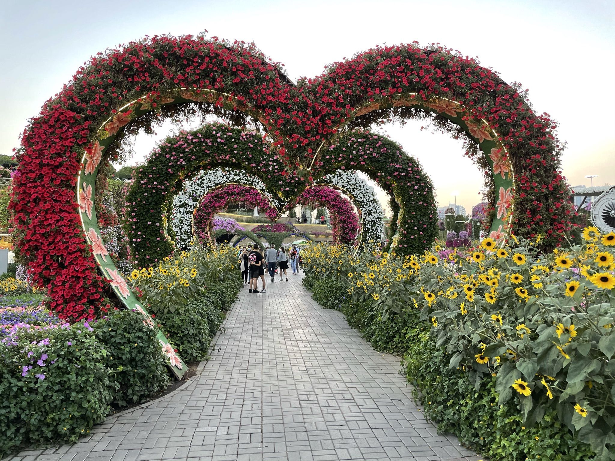 2048x1536 The Beautiful Dubai Miracle Garden