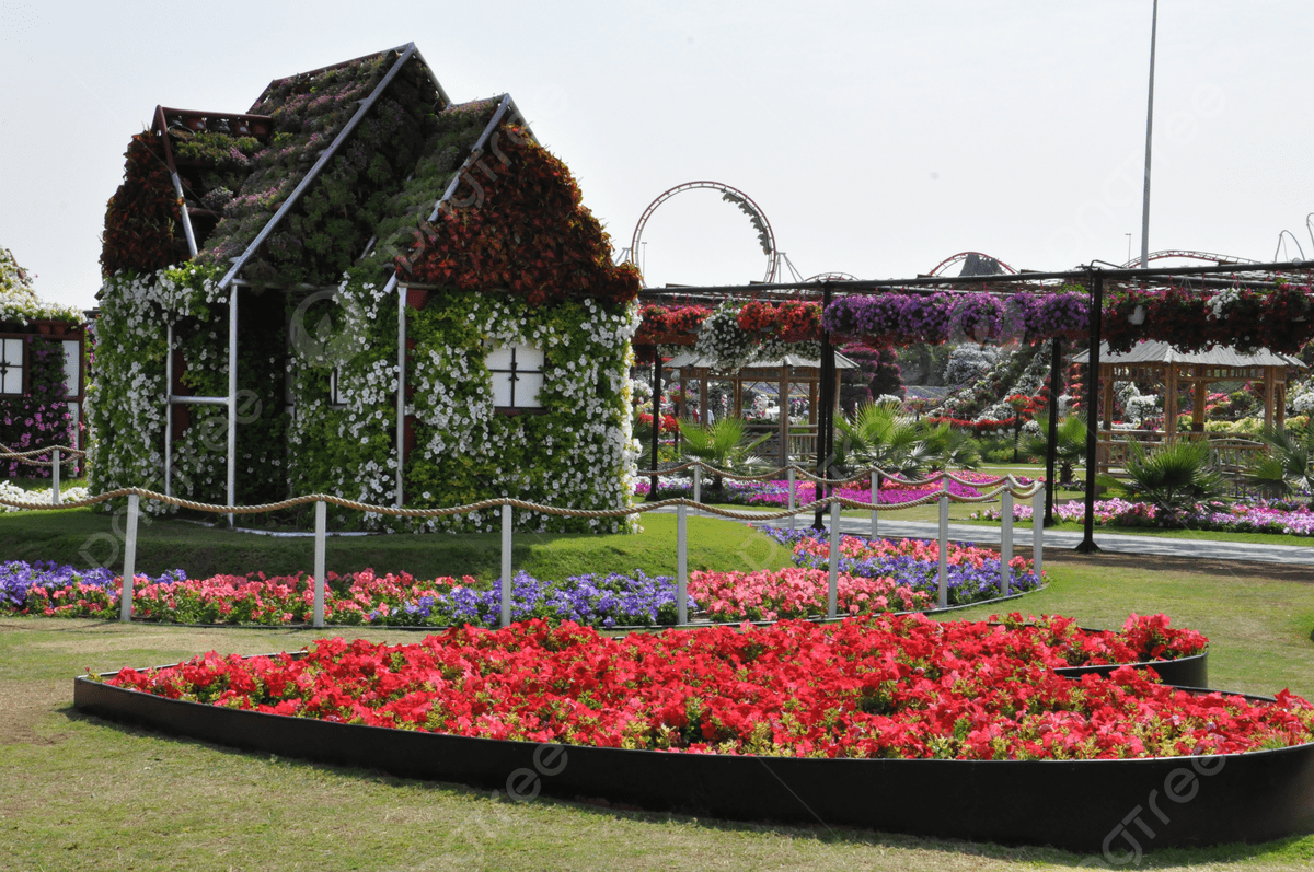 1200x797 Dubai Miracle Garden In The Uae Park