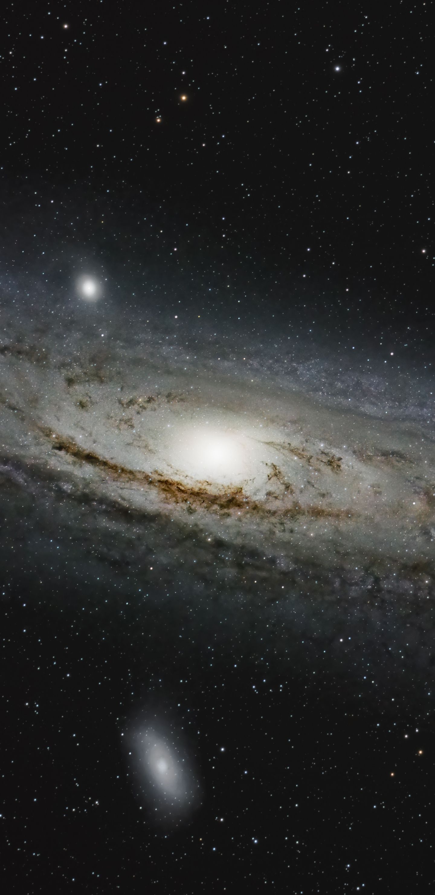 1440x2960 Galaxy wallpaper for mobile phone