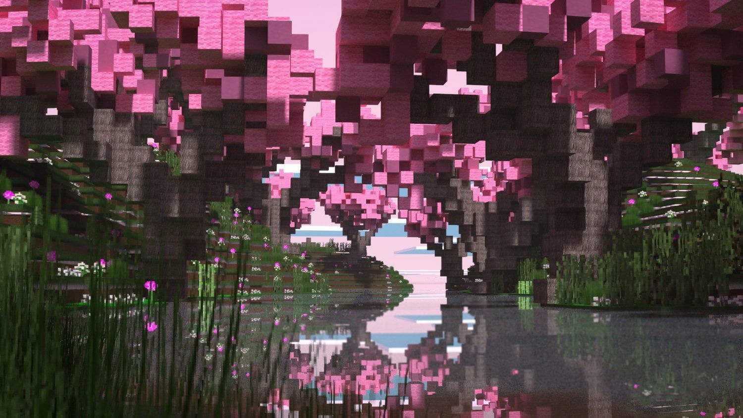 1500x844 Cherry Blossoms