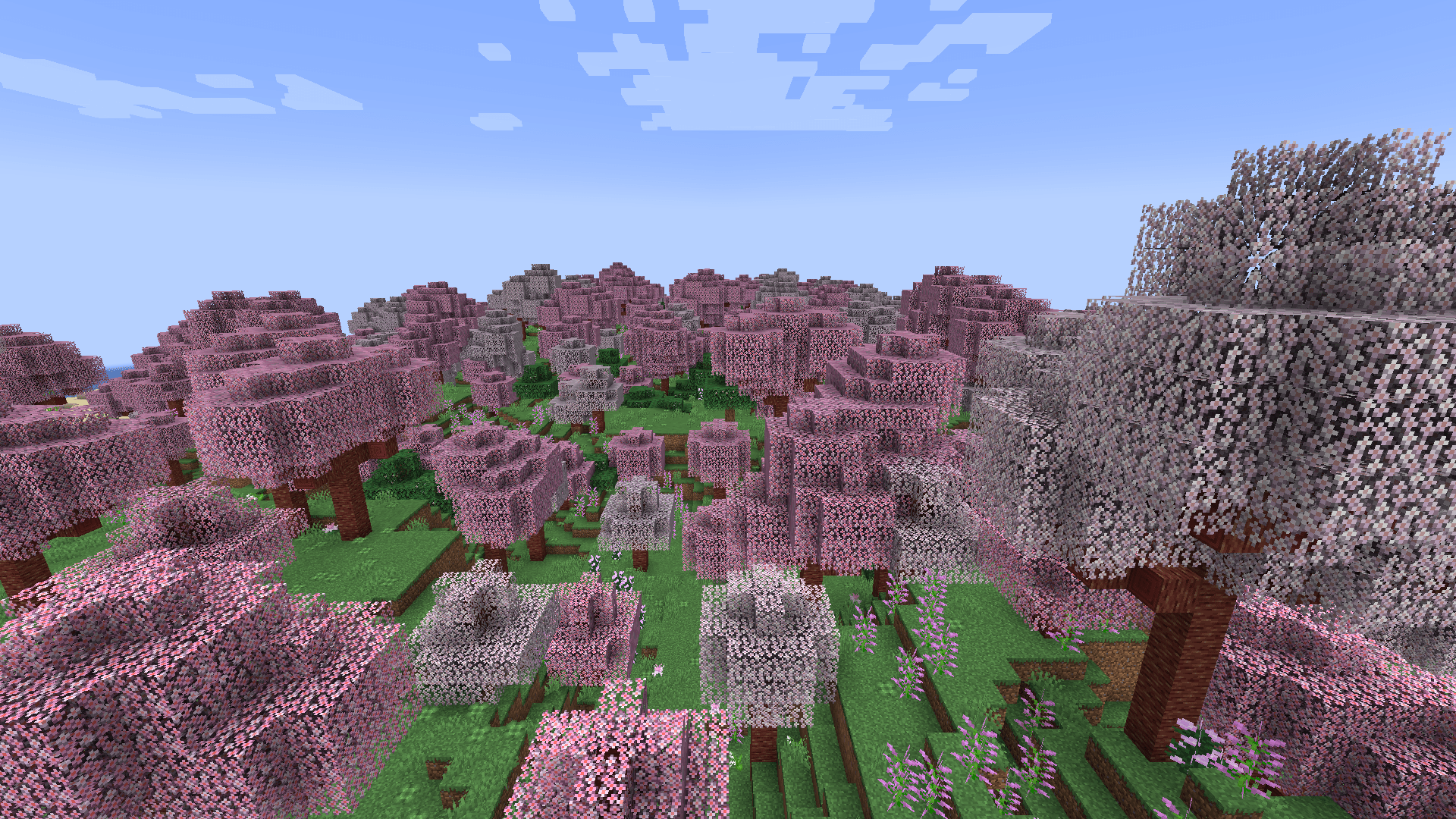 1920x1080 Cherry Blossom Grove. Biomes O' Plenty