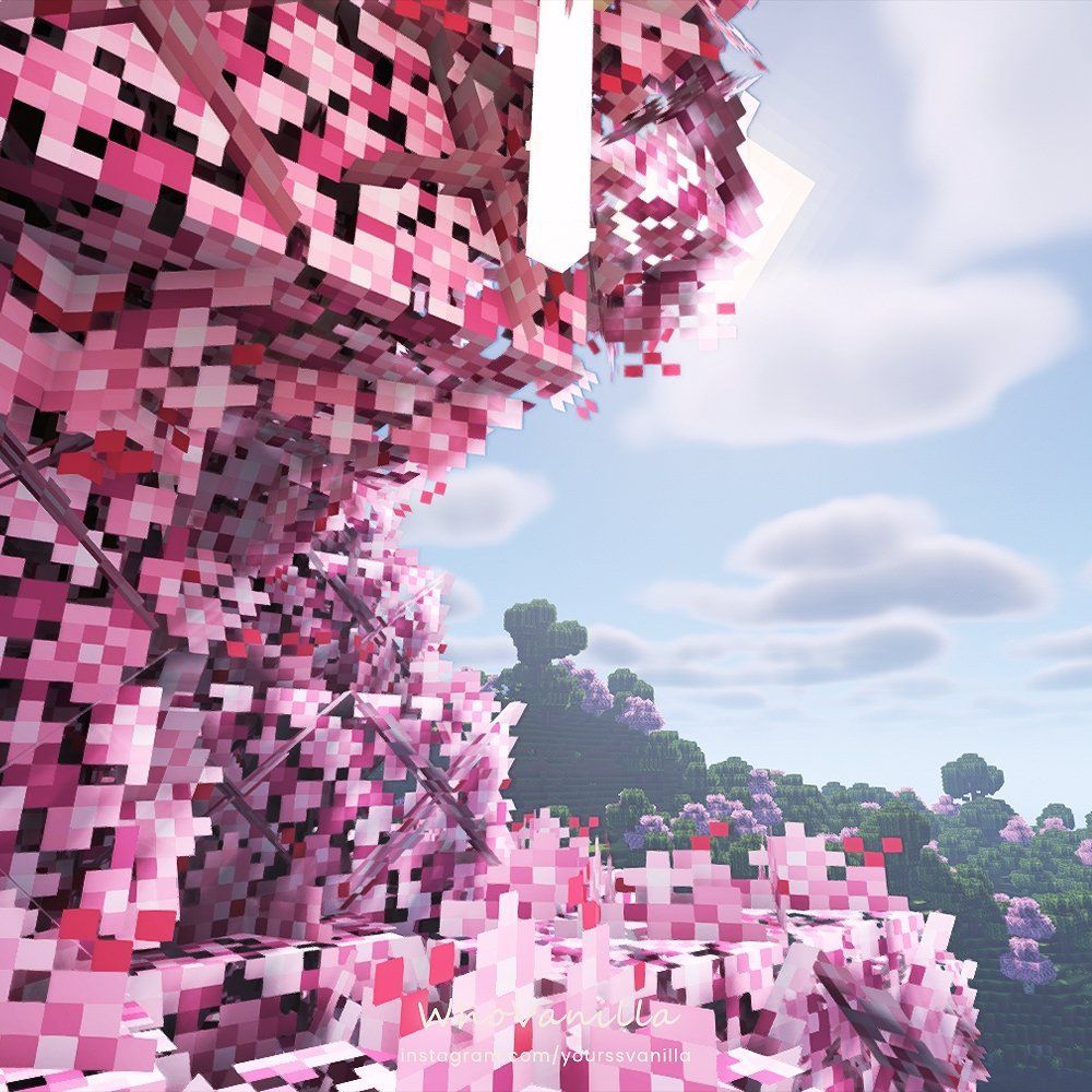 1000x1000 A little bit of Cherry Blossom