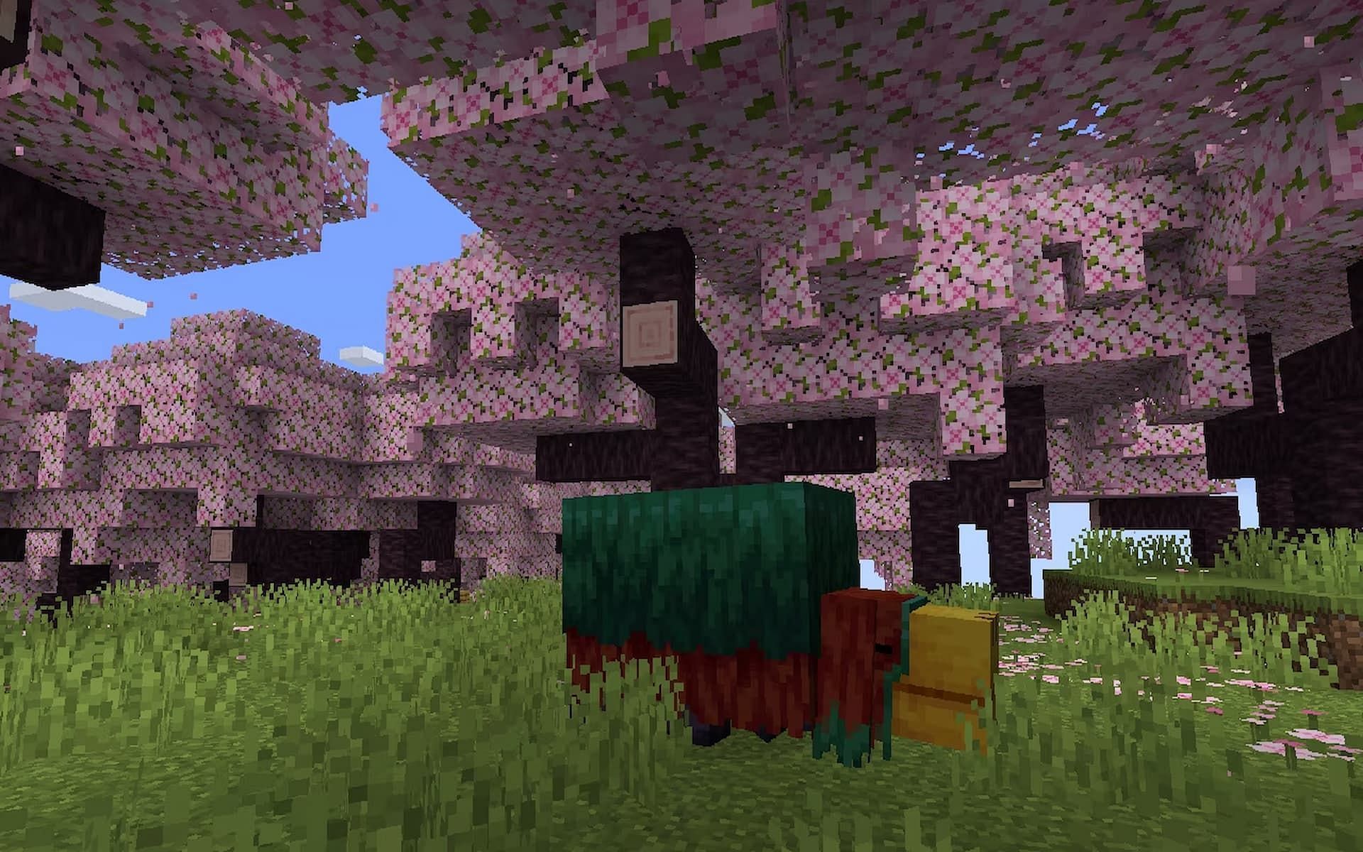 1920x1200 game footage of new Cherry Blossom biome