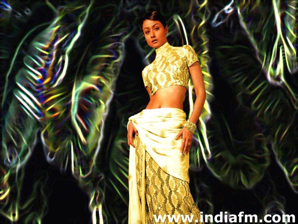 1024x768 Namrata Shirodkar HD Wallpaper