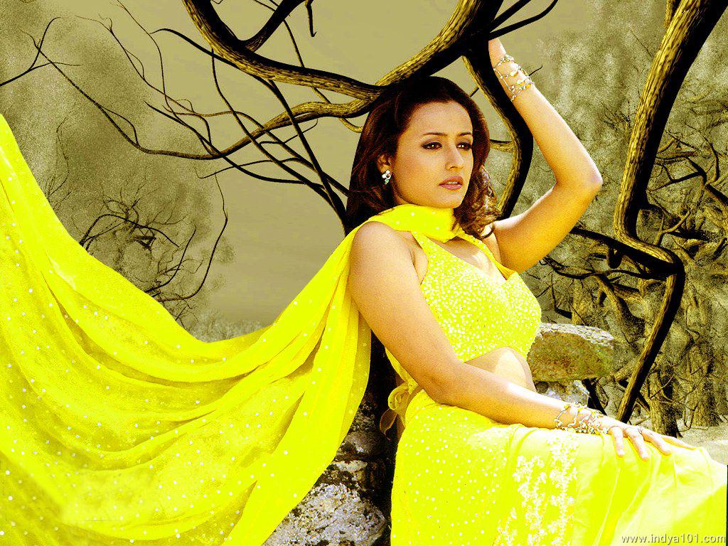 1024x768 Namrata Shirodkar 1024x768