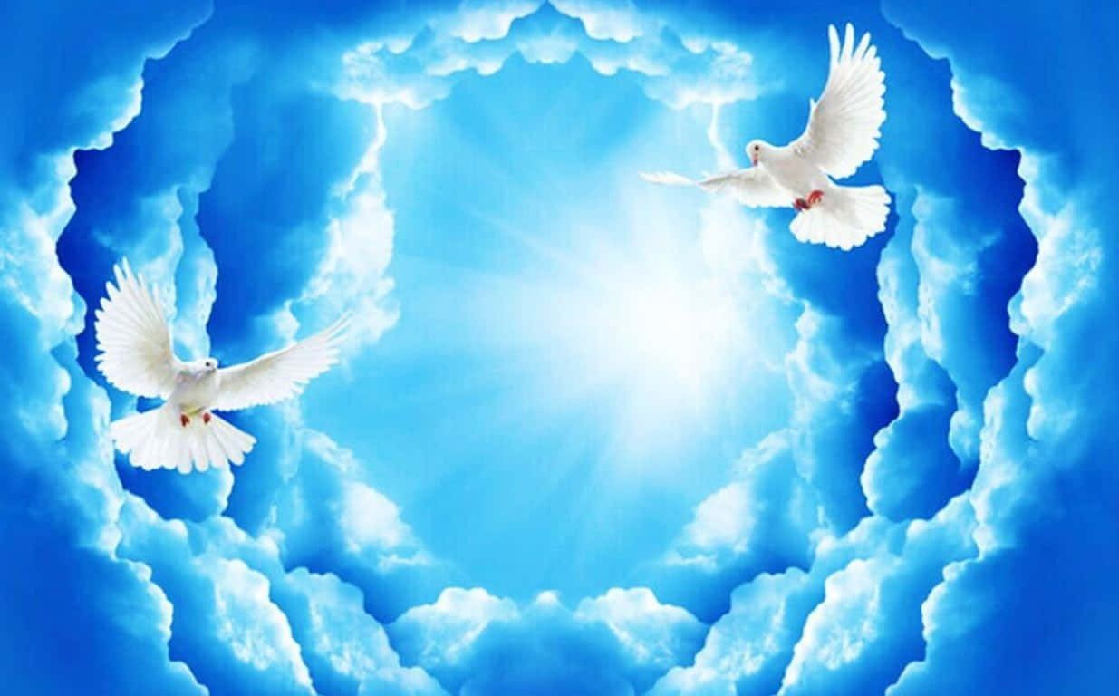 1235x768 in peace in Heaven