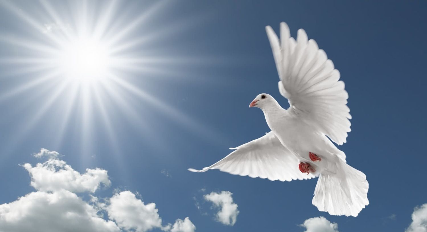 1500x815 Cheryl Hayden Obituary. Sunset Funeral