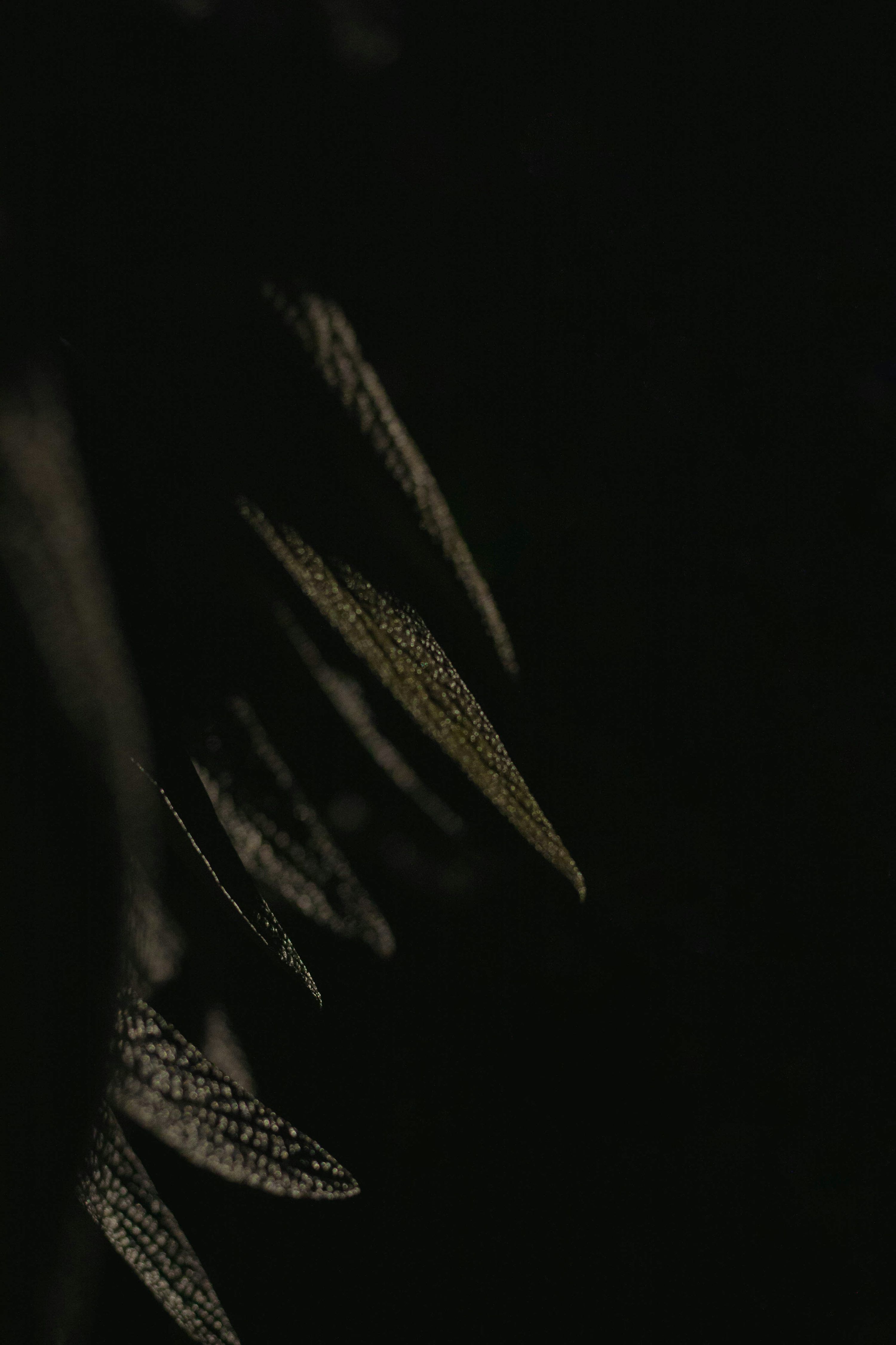 3000x4500 Nature Dark Picture. Download