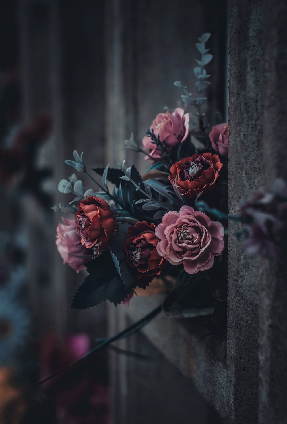 1000x1476 Dark Nature Phone Wallpaper