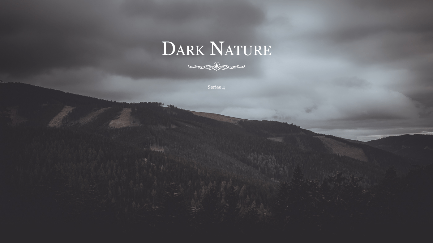 dark nature aesthetic wallpaper for pc