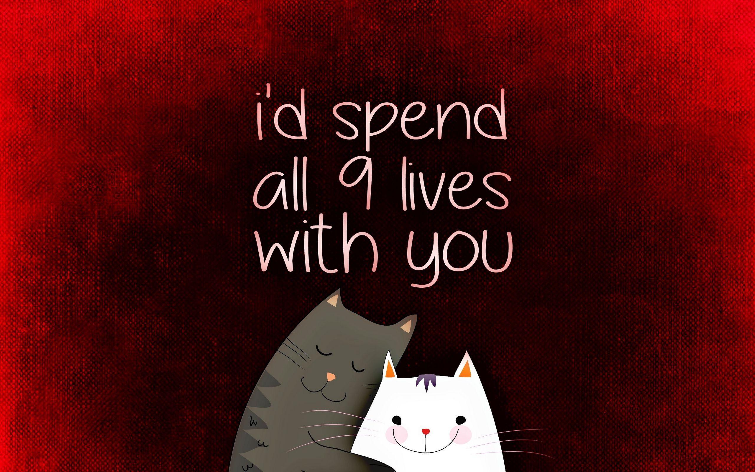 2560x1600 Download wallpaper 2560x1600 love, inscription, confession