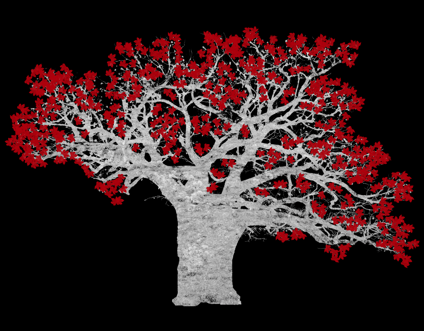 1440x1124 Weirwood T Shirt On Graphic Tide