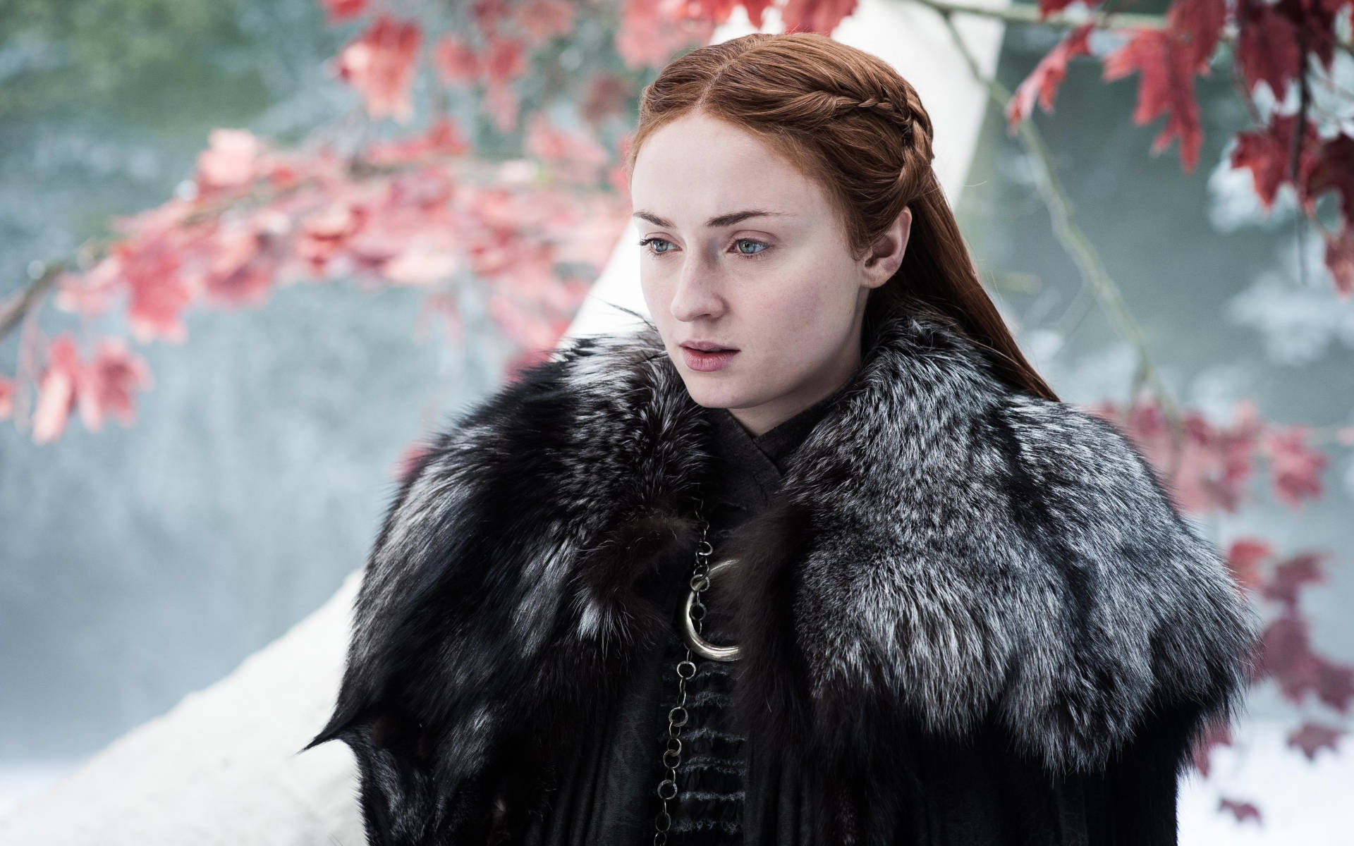1920x1200 Download Sansa Stark Weirwood Tree