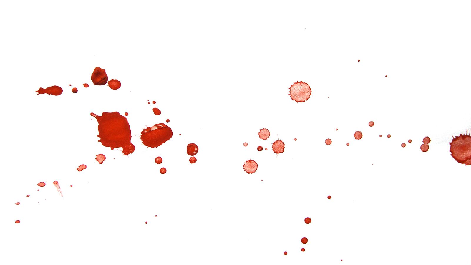 1600x900 How to Remove Blood Stains From