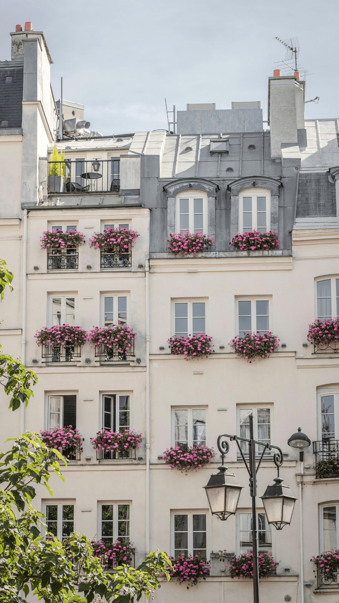 1080x1920 Free Paris Wallpaper for your iPhone
