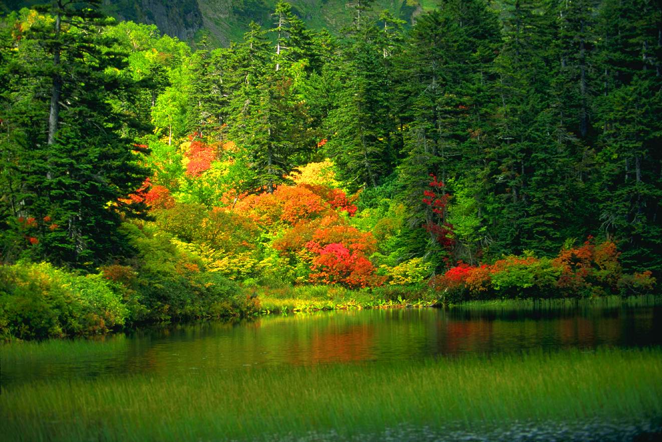 1322x883 Wallpaper: Cool Nature Wallpaper