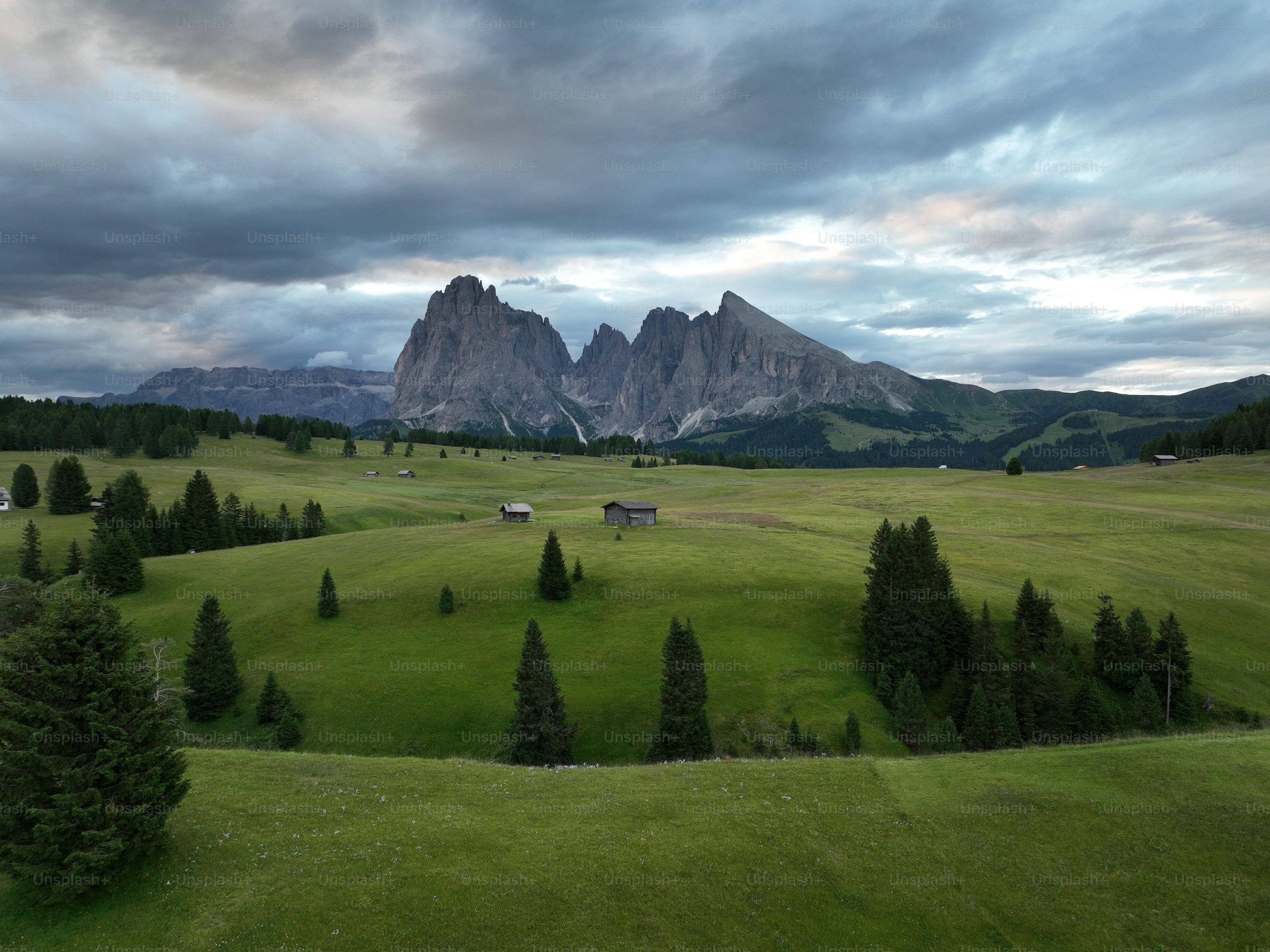 3000x2248 HD Nature Wallpaper Picture