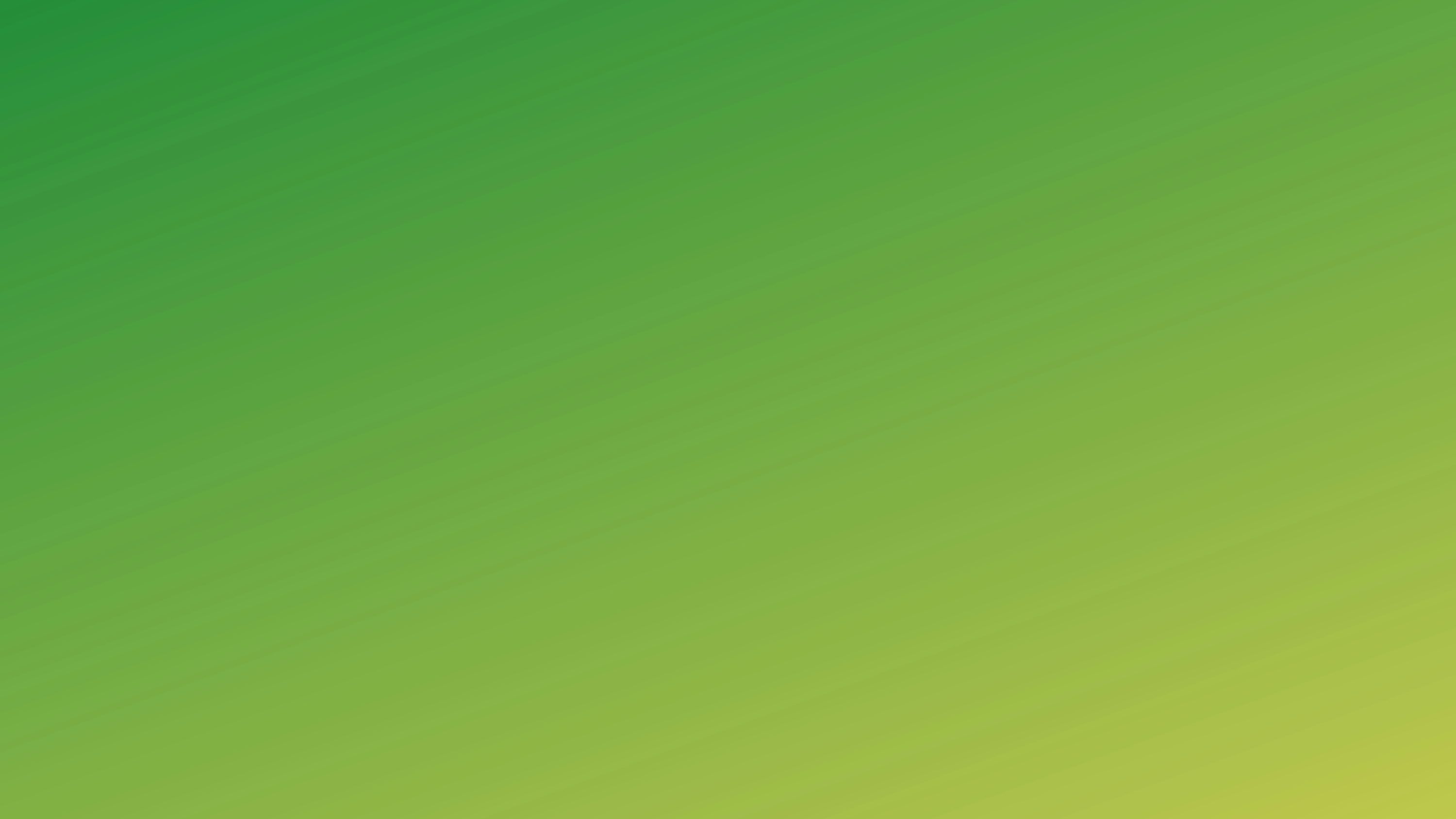 3000x1688 Green Wallpaper: Free HD Download