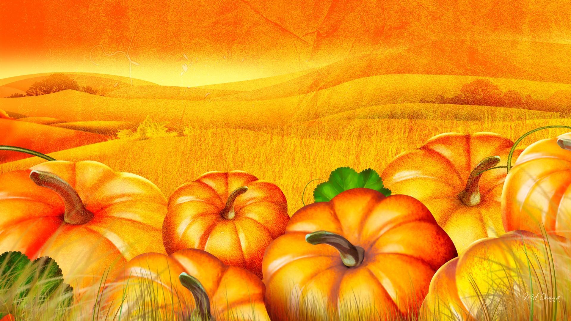 1920x1080 Cute Pumpkin Wallpaper - #thewomenmenadore