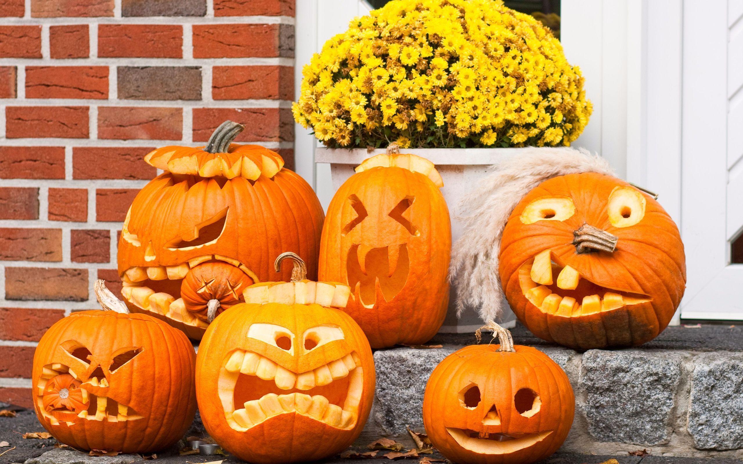 2560x1600 funny halloween photo. Funny Halloween Pumpkins Wallpaper