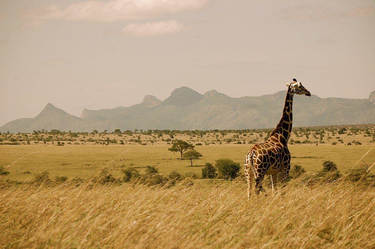 1280x848 Uganda Wallpaper