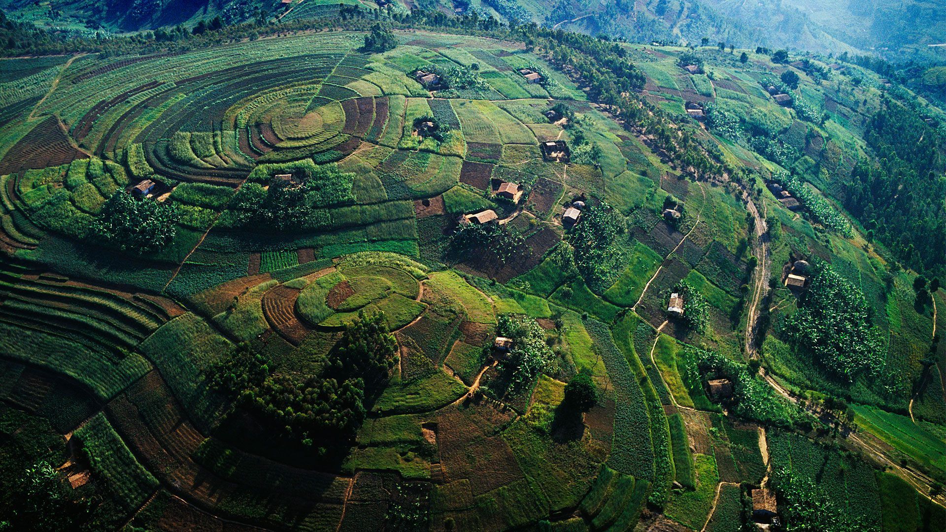 1920x1080 What To Expect On Safari In Uganda