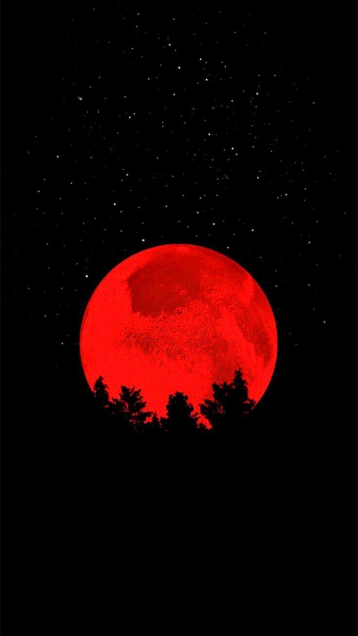 736x1308 Halloween. HALLOWEEN. Crazy wallpaper, Dark