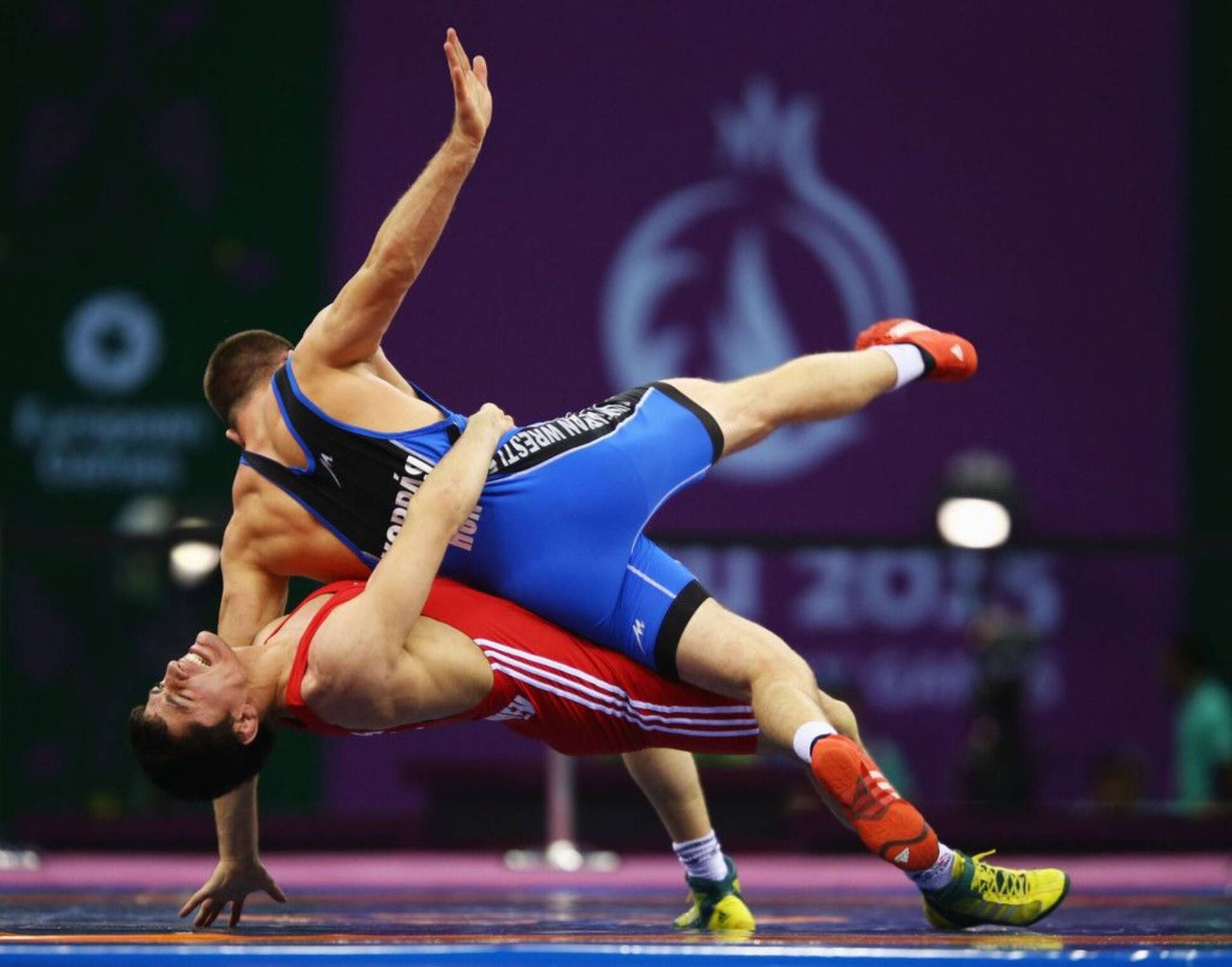1920x1506 Wrestlers Fight for Victory Wallpaper
