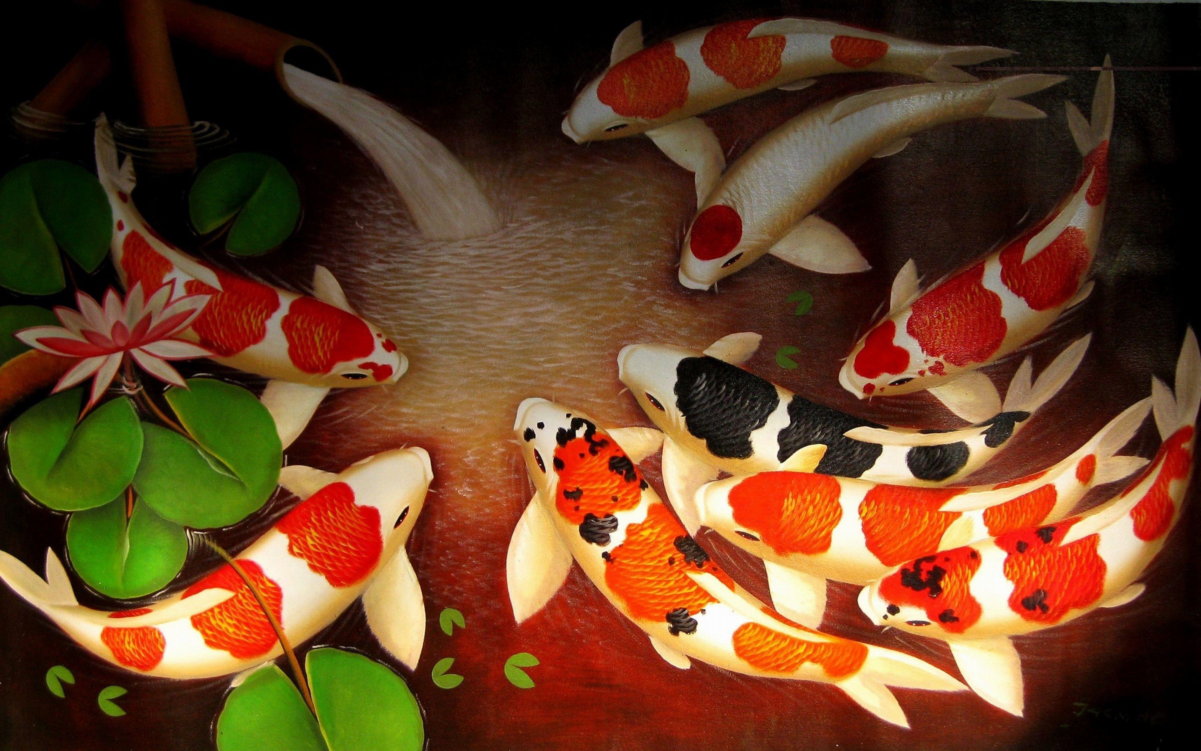 Japanese Koi Fish Pond Wallpapers - Top Free Japanese Koi Fish Pond