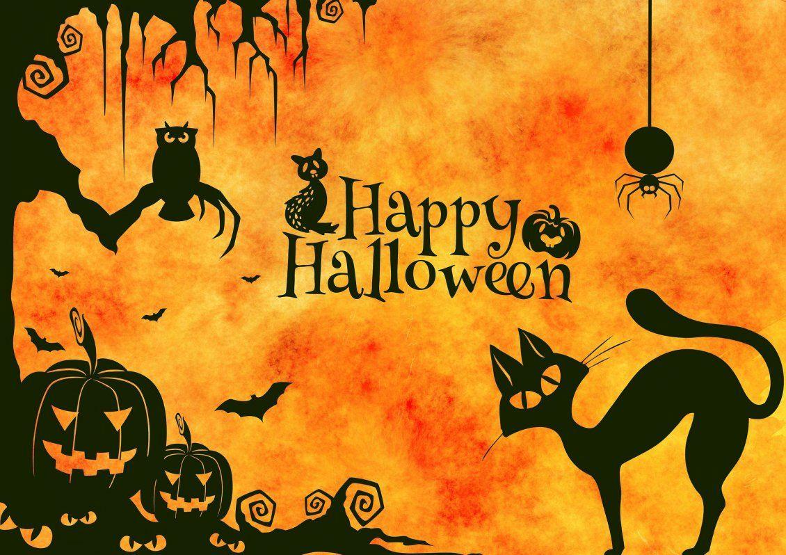 1130x798 Dark cat and spiders Halloween night