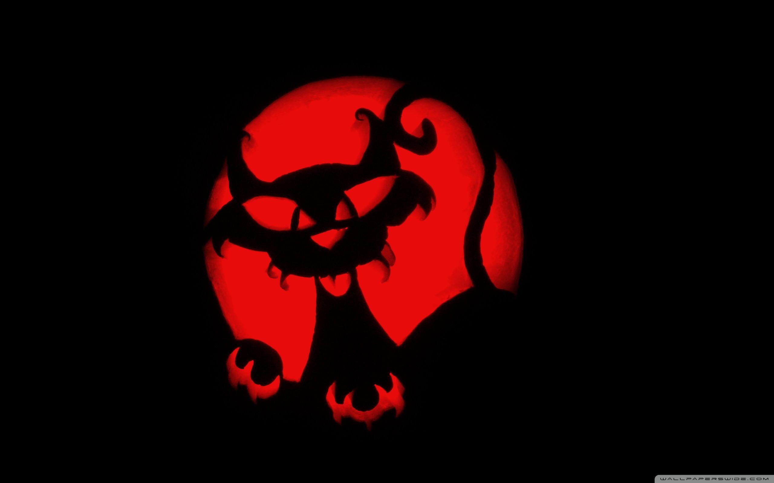 2560x1600 Happy Halloween! (Cat Pumpkin Carving) ❤ 4K HD Desktop