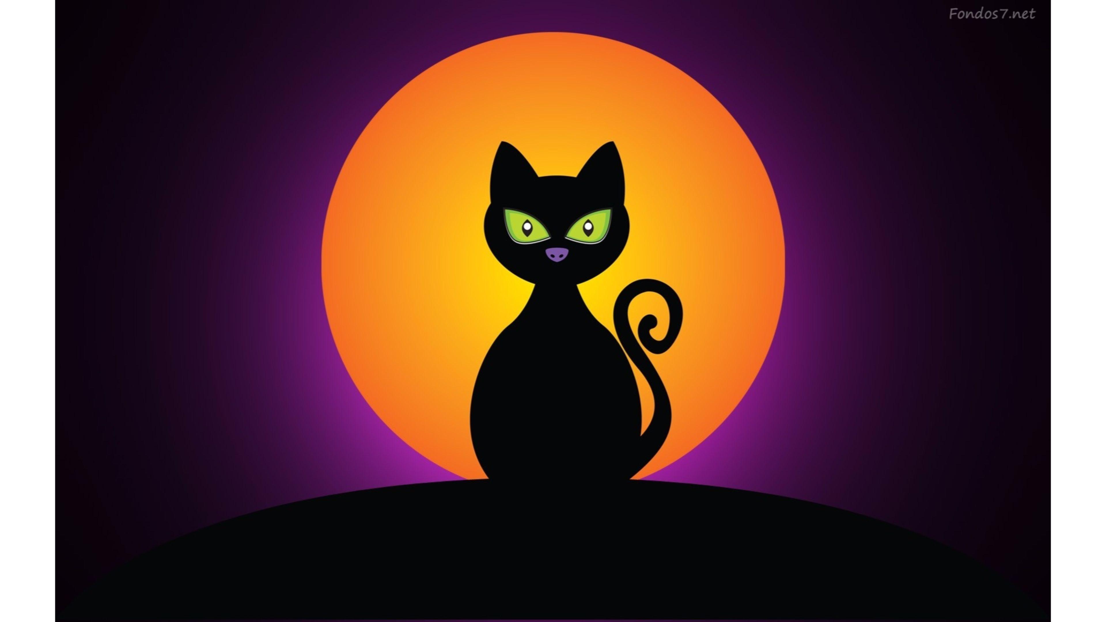 3840x2160 Halloween Pets Wallpaper
