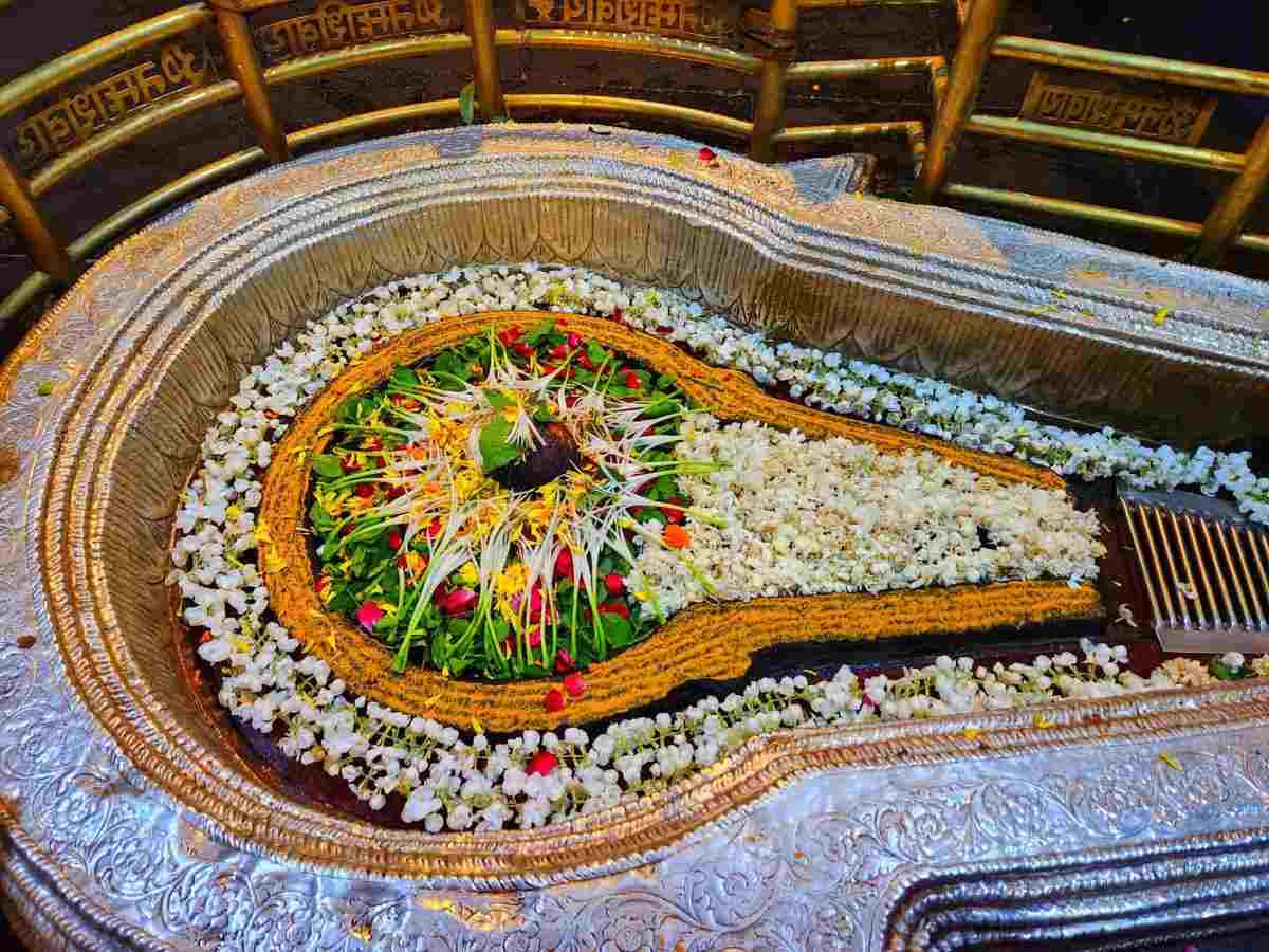 1200x900 Lakh Devotees Thronged Bhimashankar